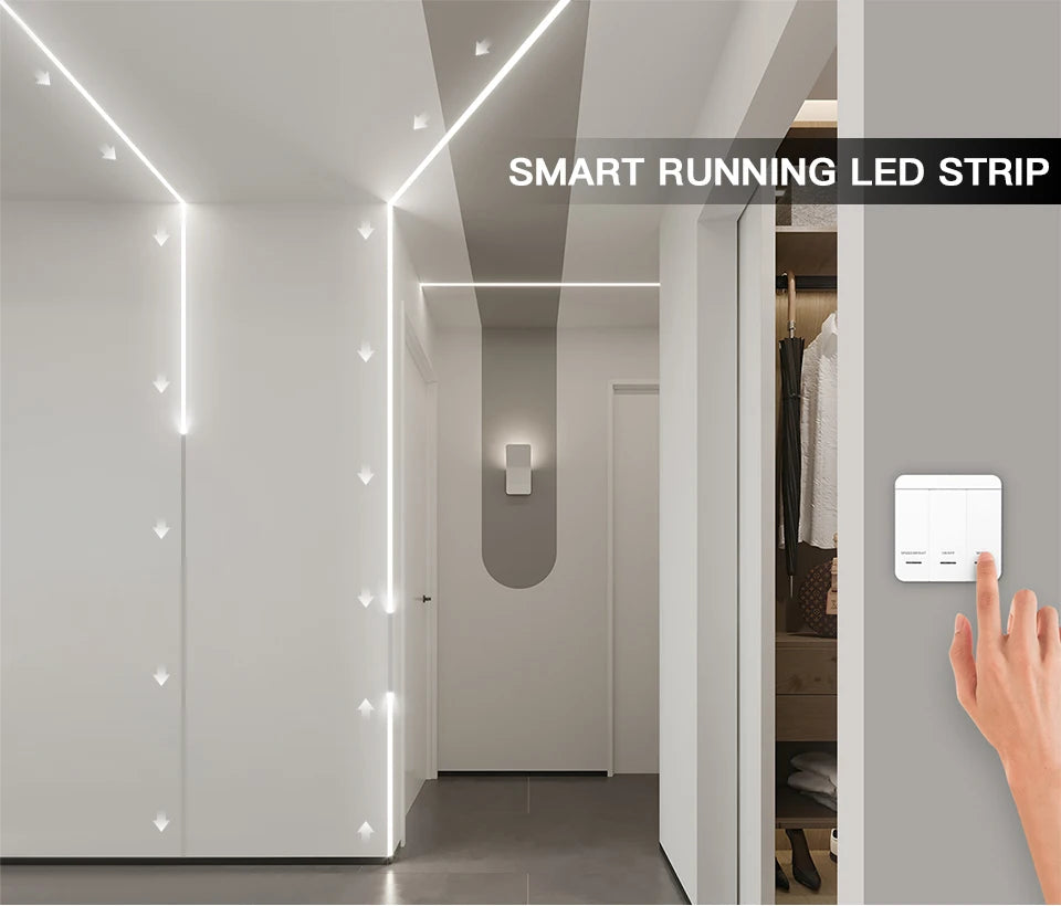 Smart WS2811 IC LED Strip Light Horse Running Chasing Effect Individual Pixel LED Addressable Control With Remote Panel Switch