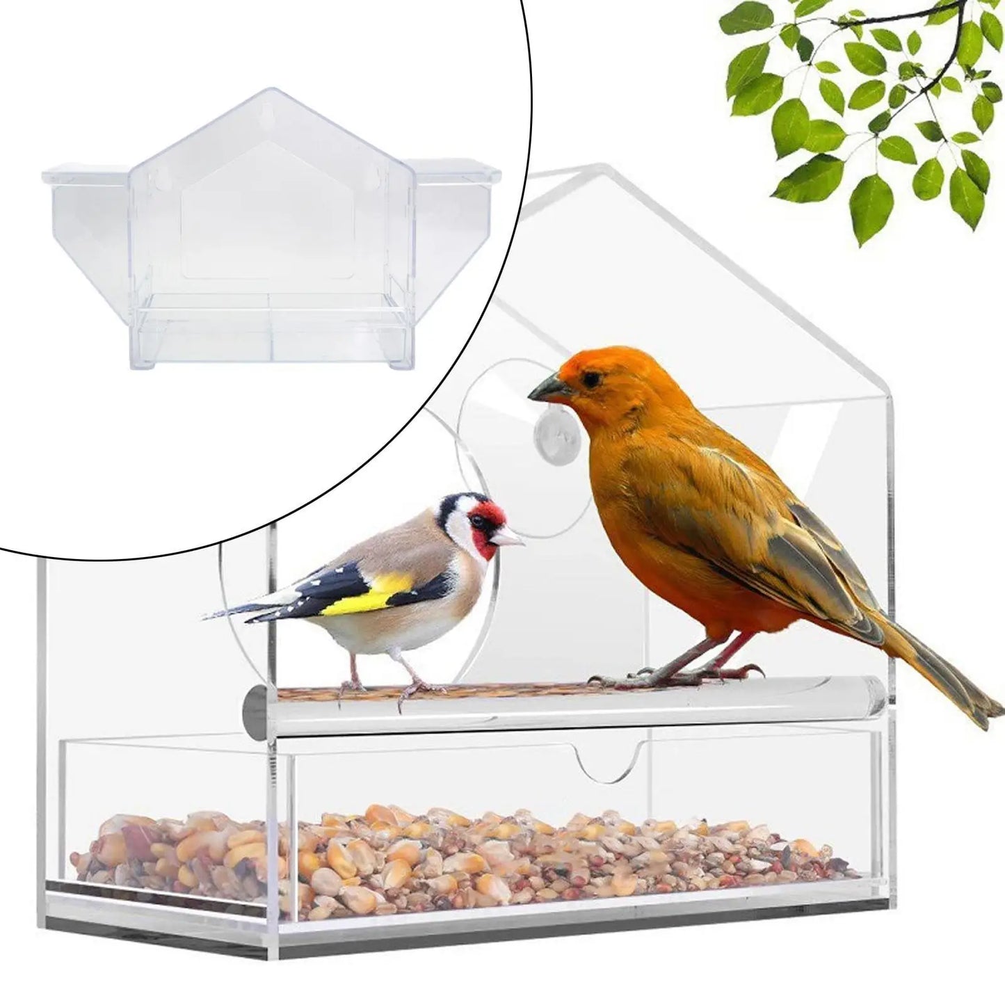 Bird Feeder Removable Food Storage Tray Transparent for Bird Watching Birdfeeder for Backyard Outdoor Lawn Patio Lovebirds