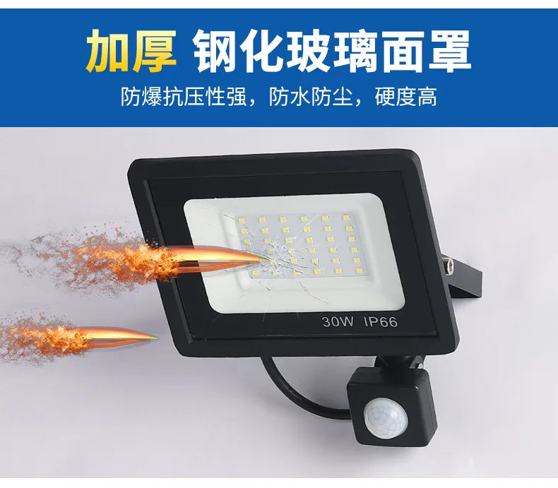 LED Floodlights 100W 50W 30W 20W 10W PIR Motion Sensor IP66 Waterproof LED 220V Hanging Exterior Outdoor Wall Lamp Spotlight