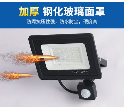 LED Floodlights 100W 50W 30W 20W 10W PIR Motion Sensor IP66 Waterproof LED 220V Hanging Exterior Outdoor Wall Lamp Spotlight