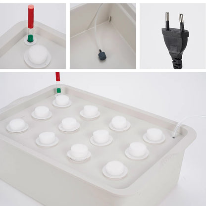12 Hole 220V Plant Hydroponic Kit Cultivation Box Garden Pots Planters Seedling Cultivation Grow Kit Vegetables Nursery Pots