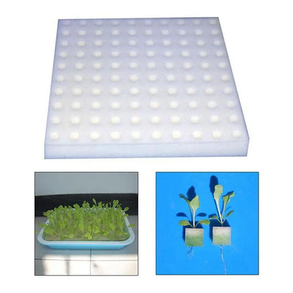 100 Hole/sheet Hydroponic Plant Sponge Garden Cultivation Seedling Soilless Culture Planting Tools Vegetables Nursery Pots Tray
