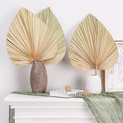 6PCS Dried Palm Leaves Natural Dried Palm Fans,Large Palm Spear For Boho Wedding Decor,Tropical Palm Leaves Decoration Durable S