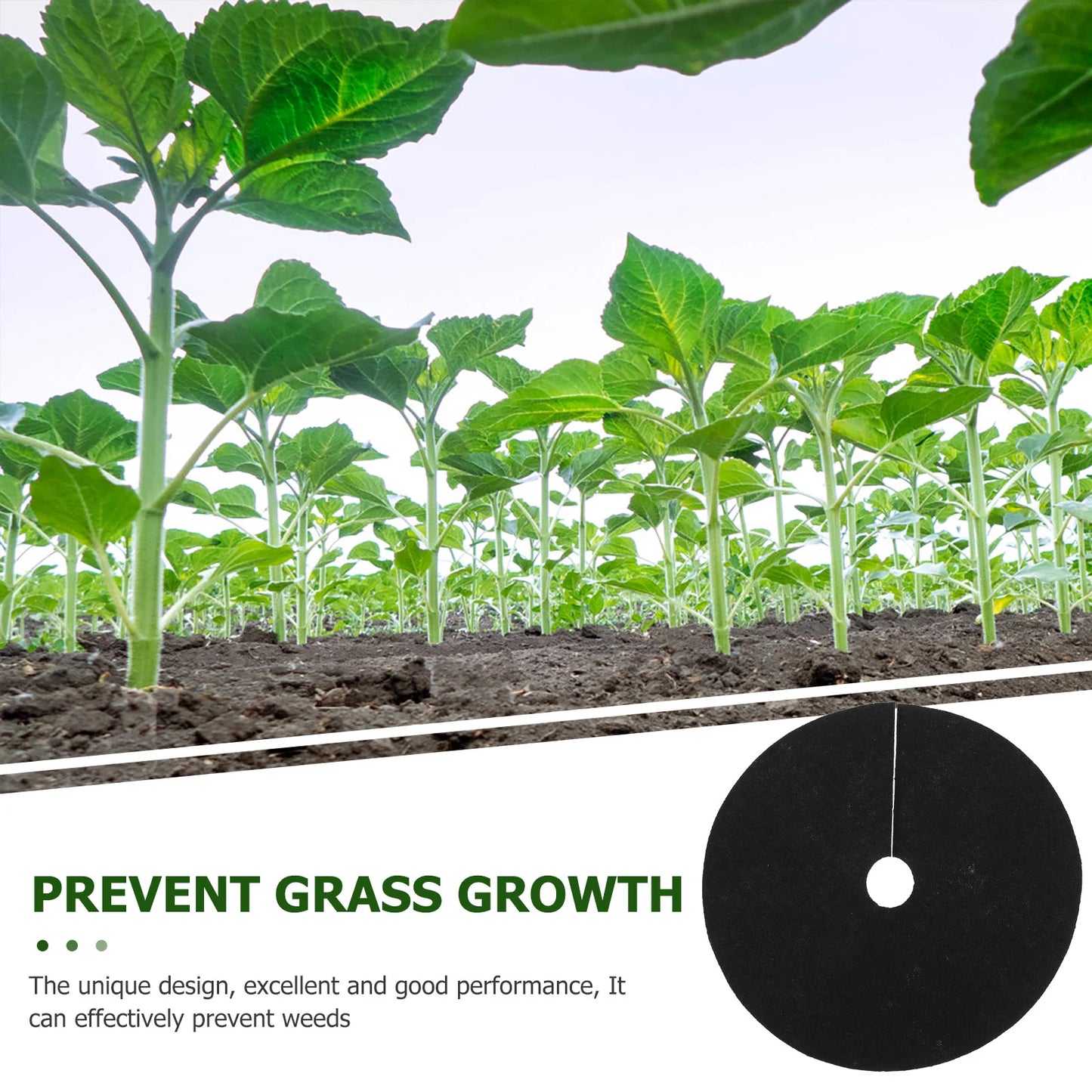 20 Pcs Ground Cloth Agriculture Ring Control Fabric Anti-grass Protection Pad