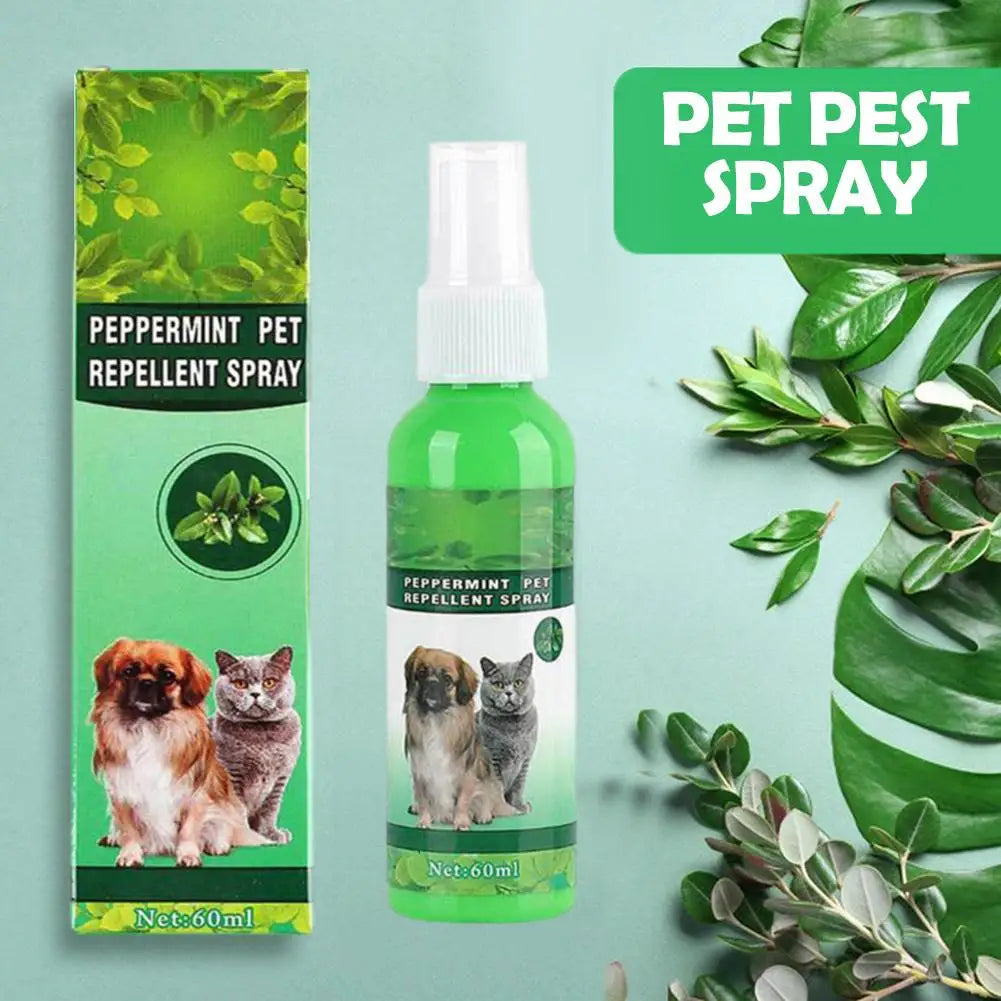 60ml Pet Pest Spray Pet Dog Anti-flea Mites Ticks Drops Kitten Pest Treatment Treatment Flea Puppy Kitten Puppy Spray