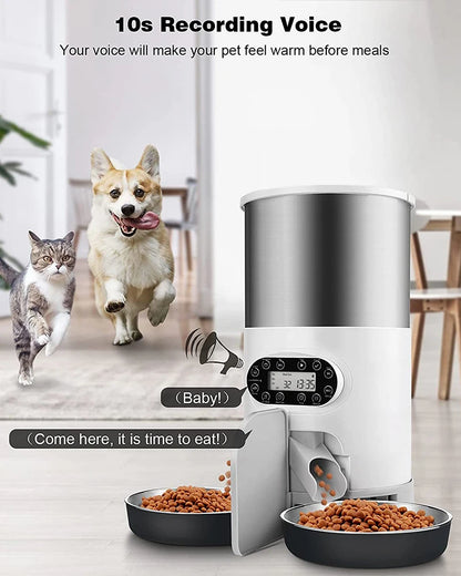 Cat Timing Feeder Smart APP Cat Feeder Stainless steel Double Meal Pet Food Remote Feeding Automatic Dispenser Suitable Cats Dog