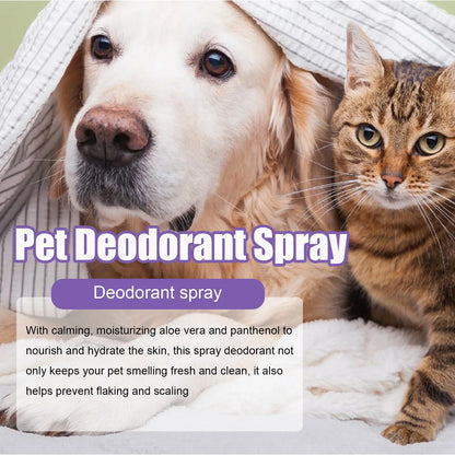 Pet Deodorization Spray 50ml Dog Perfume Lavender Oil Deodorization Spray Anti Itching Fragrant Pet  Cat and Dog Beauty Care