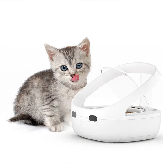 Smart Microchip Pet Timing Feeder Bowl Cats Dog Multi Pets Homes Intelligent Automatic Food Timed Feeder Supplies