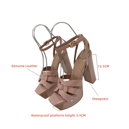 Fashion Women's Sandals Brand Luxury Women's Shoes Elegant Party High Heels Leather Waterproof Office Shoes Sexy Dating Shoes