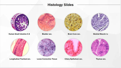 50 Pieces Set School Supplies Microscope Mixed Histology Prepared Slides for Educational Student