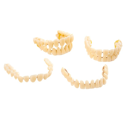 3size Universal Resin False Teeth Resin Model Durable Dentures Dental Material Teeth Teaching Model Dedicated Teeth