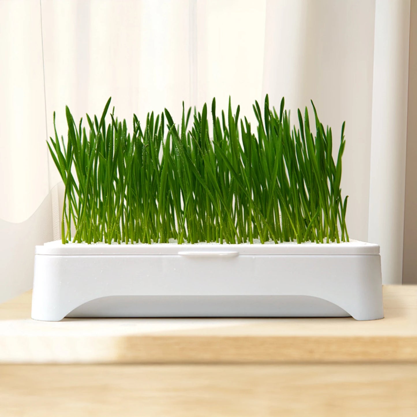 Hydroponic Growth System Pet Cat Grass Nursery Pot Growth Planting Assistant  Reusable Multifunctional Gardening Supplies