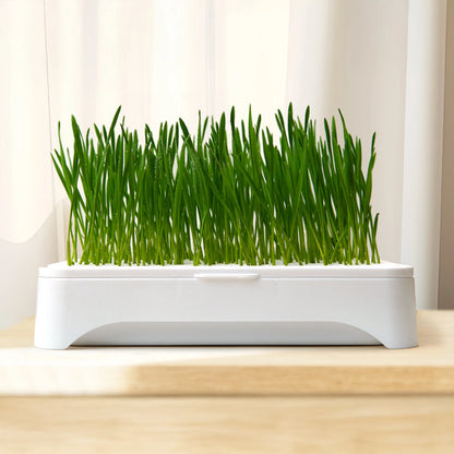 Hydroponic Growth System Pet Cat Grass Nursery Pot Growth Planting Assistant  Reusable Multifunctional Gardening Supplies