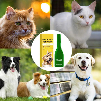 1ml Pet External Drops Tick Spray Fast-Acting Lice Remove Anti Flea Drops Tick Liquid Long Lasting Natural Pet Care Spray