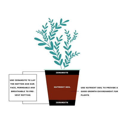 2L/1L Organic clay balls, Flower Substrate Drainage Expanded Clay, Hydroponic Gardening plant pot, Orchids, Drainage Aquaponic