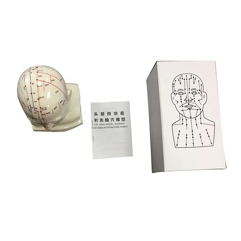 Head Acupuncture Model 20CM Chinese Traditional Medical High Definition Face Facial Acupoint Acupuncture Point Teaching Model