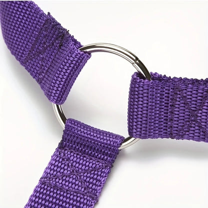 Nylon Two-in-one Dog Car Seat Belt Adjustable Dog Harness Collar Pet Accessories Dog Lead Leash Backseat Safety Belt Solid Color