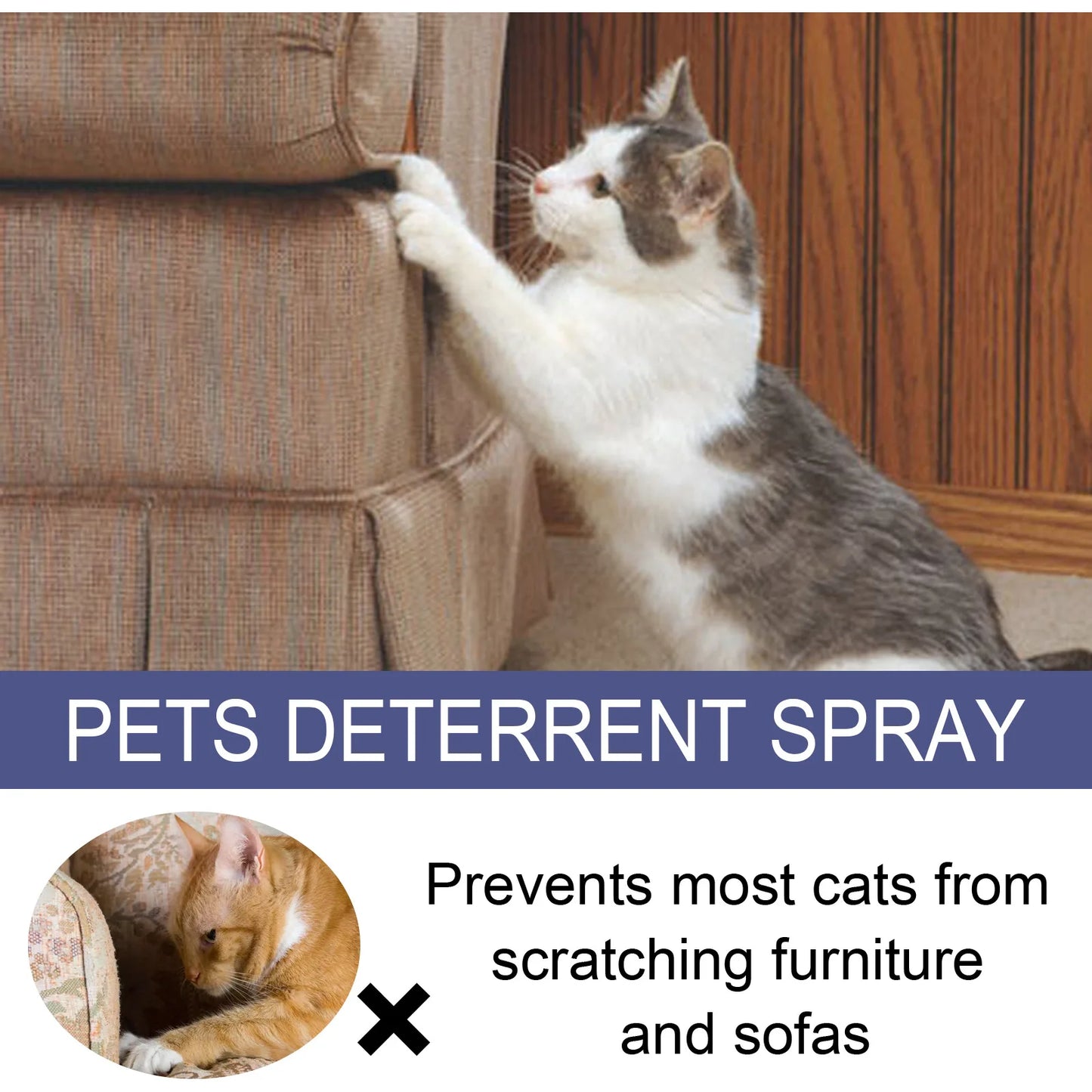 Pet Anti scratch Spray Cat spray Scratch Deterrent Restricted Area Repel Cats Dogs Scratching Door Sofa Anti scratch Furniture