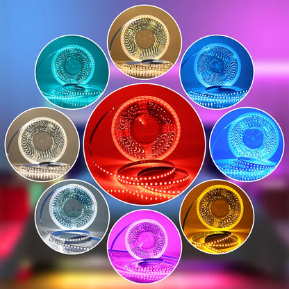 5m 10m 20m 50m LED Strip Light AC 220V 230V 240V IP55 2835 120 LEDs Flexible Ribbon Rope Lights Tape 9 Colors Home Decoration