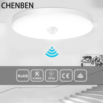 Smart Sensor LED Light Ceiling Lamp Modern Home Indoor Aisle LED Hanging Fixture Induction Lighting Living Room Luminaire Lamps