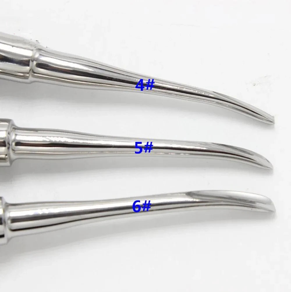 6 pcs/ kit dental lab dentistry dentist dental detista equipment for teeth whitening clareador curved ROOT ELEVATOR