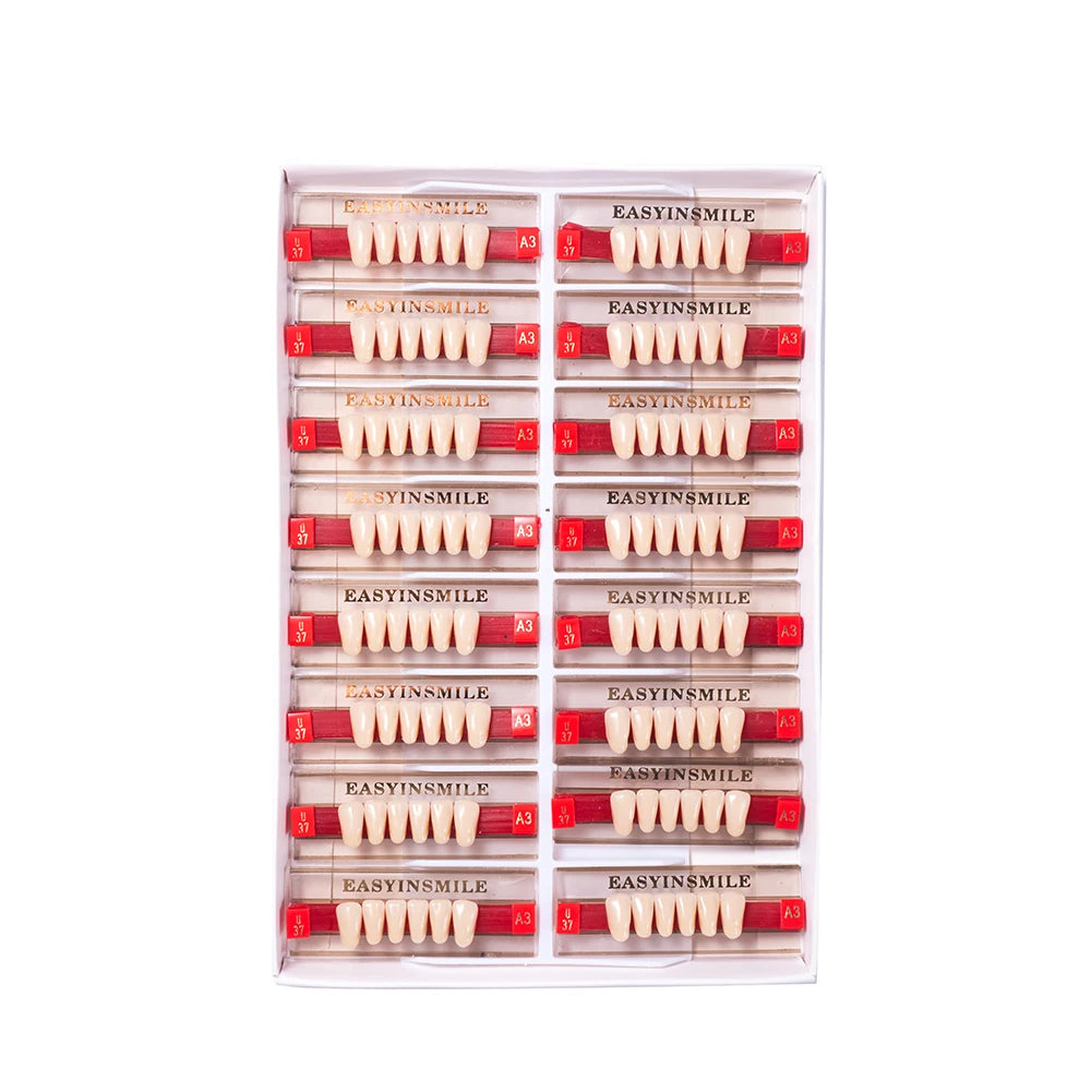 16/12 Sets/ Box Dental Teeth Anterior Posterior Polymer Denture acrylic Tooth A2 A3 2 Layers Dentistry Materials Education Model