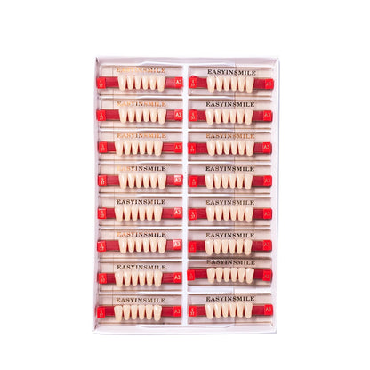 16/12 Sets/ Box Dental Teeth Anterior Posterior Polymer Denture acrylic Tooth A2 A3 2 Layers Dentistry Materials Education Model