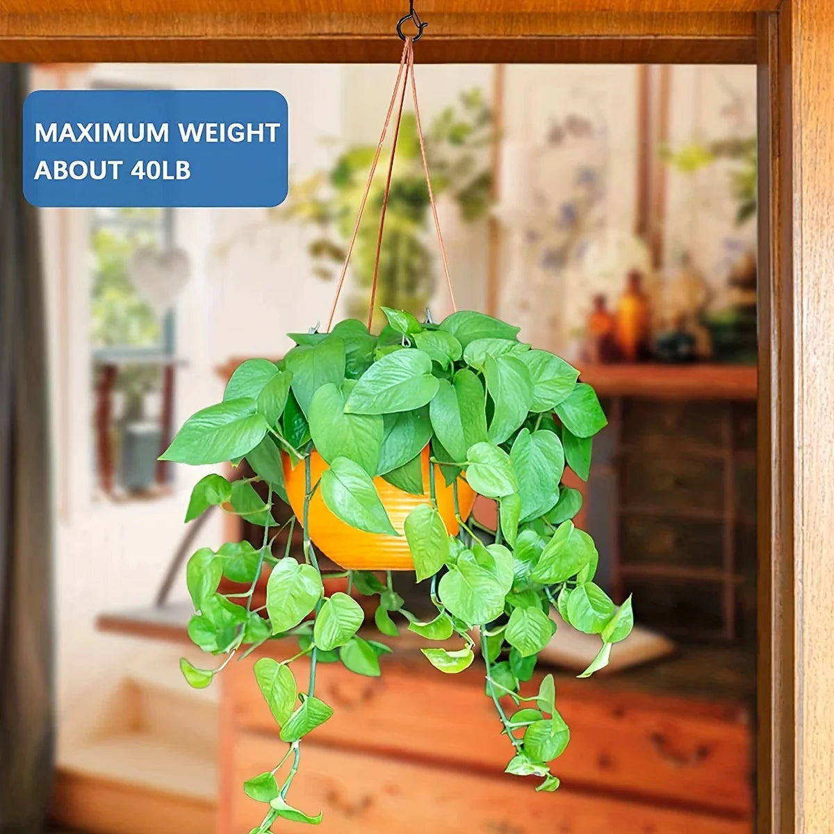 Hanger Hooks with Safety Buckle,Windproof Screw Hooks for Hanging Outdoor String Lights,Ceiling Hooks  Plants,Christmas Lights