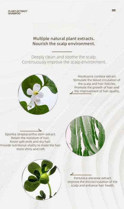 Botanical Shampoo 11 plant extracts nourish hair Elegant Sandalwood Vegan Zen Soft Silky Amino Acids Soft Mild Non-irritating