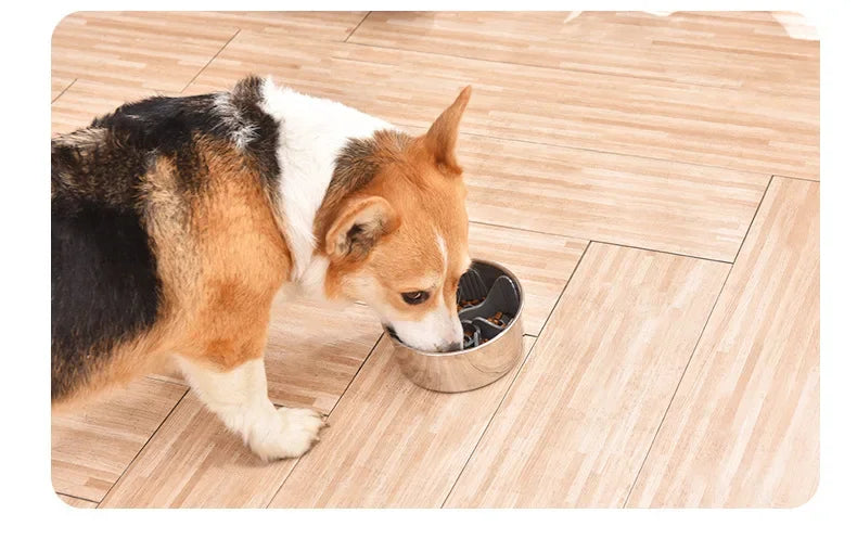Slow Feeder Dog Bowls Insert Dog Bowl Slow Feeder Silicone Strong Suction Cup Feeder Insert Safe Soft Firm Slow Feeder Bowl New