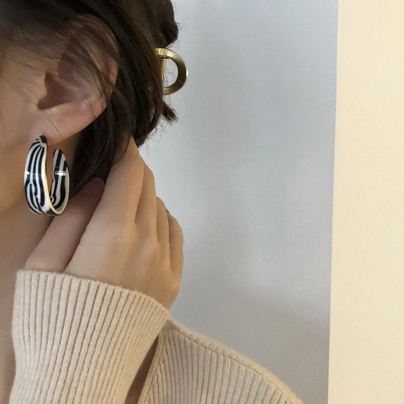 2025 New Fashion Exaggerated Zebra Pattern Acrylic Earrings for Women Personality Hypoallergenic Ear Ring Party Jewelry