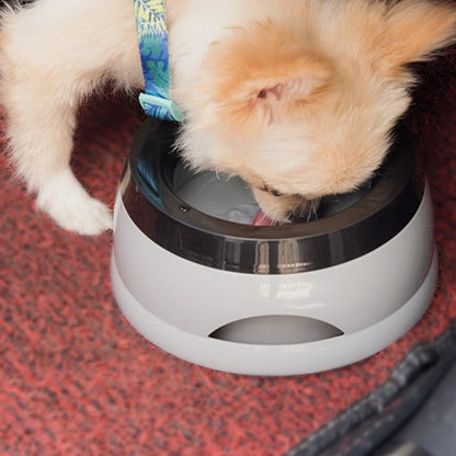 E15D 25oz Dog Water Bowl 750mL No Spill Slow Water Feeders Spill Proof Pet Bowl