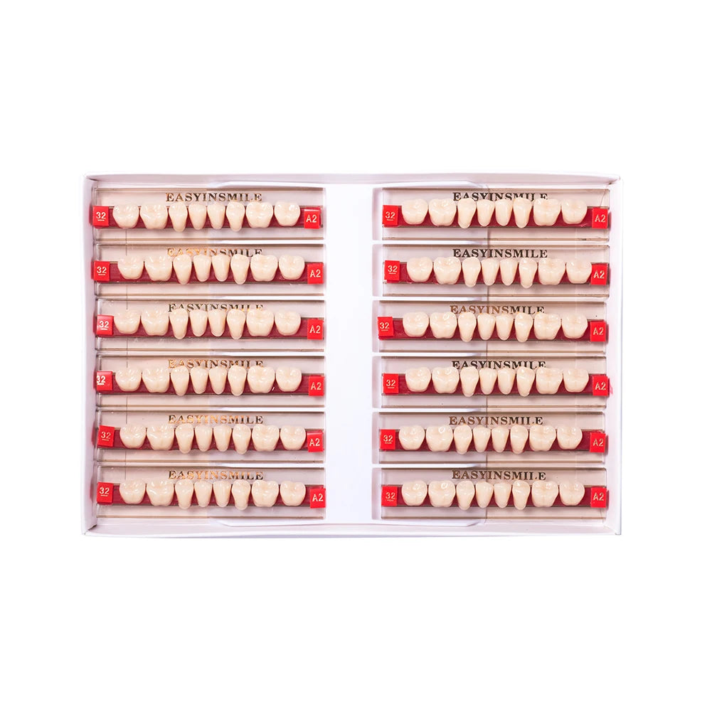 16/12 Sets/ Box Dental Teeth Anterior Posterior Polymer Denture acrylic Tooth A2 A3 2 Layers Dentistry Materials Education Model
