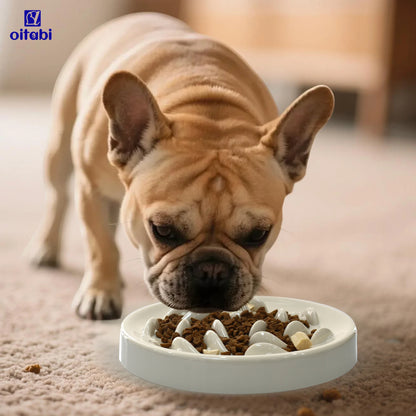 Oitabi Cat Slow Feeder Bowl Pet Dog Feeder Wet Food Slow Feed Raised Dish Healthy Eating Fun Interactive Feeding Bowls for Cats