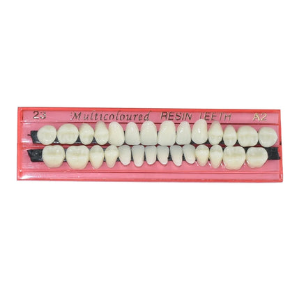 Dental Resin Denture 28Teeth Set with 3D Shade Guide Color Comparator Mirror for Bleaching and Dentistry Training