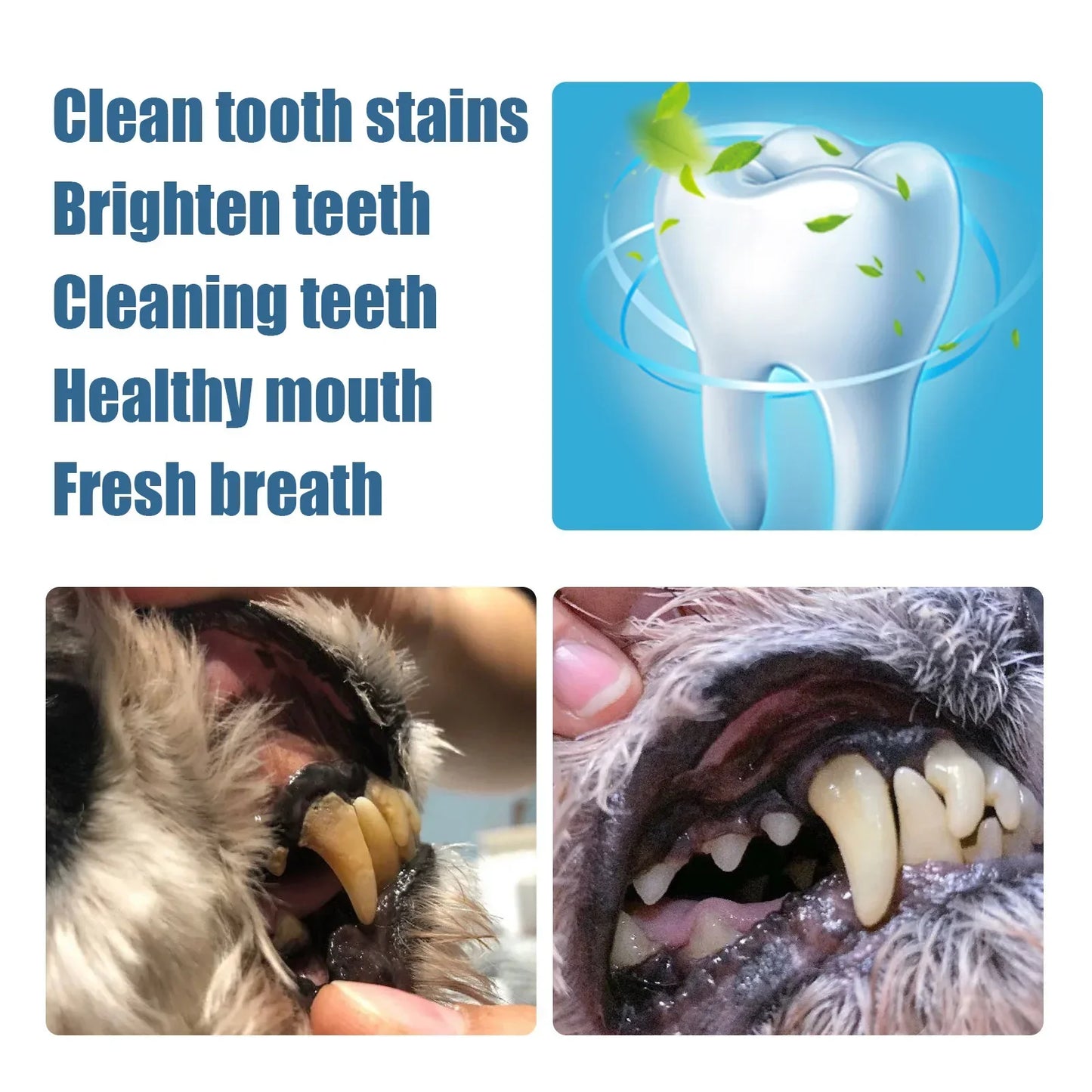 Pet Teeth Cleaning Pen for Dogs and Cats, Tartar and Plaque Cleaning Tools for Cats and Dogs, Pet Teeth Cleaning Pen