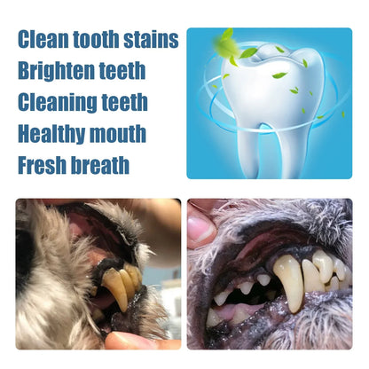 Pet Teeth Cleaning Pen for Dogs and Cats, Tartar and Plaque Cleaning Tools for Cats and Dogs, Pet Teeth Cleaning Pen