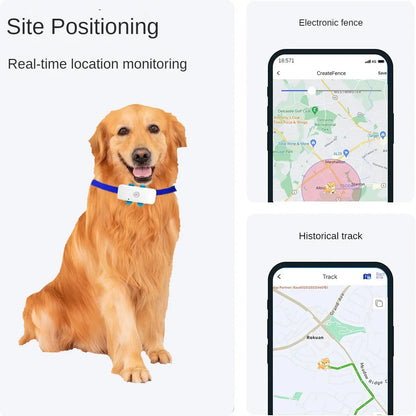 Pet GPS Tracking Locator, 4G, Global Cat and Dog, Remote Viewing App