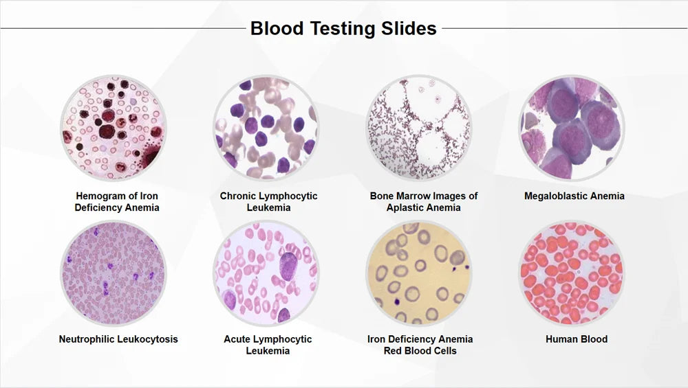 50 Pieces Set School Supplies Microscope Mixed Histology Prepared Slides for Educational Student