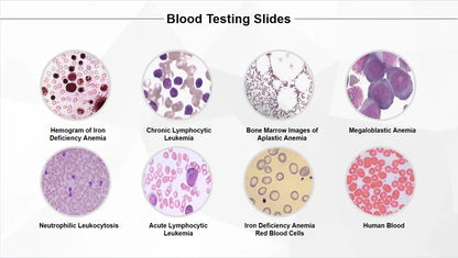 50 Pieces Set School Supplies Microscope Mixed Histology Prepared Slides for Educational Student