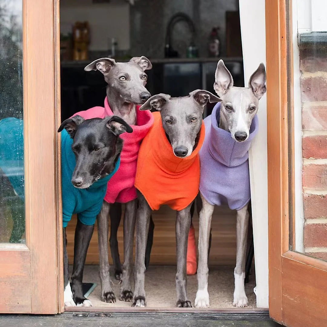 Fleece Sweaters | Greyhound, Whippet & Italian Greyhound Apparel Vest Turtleneck Fleece