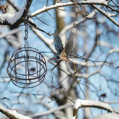 Hanging Bird Feeder Suet Ball Feeder Bird Suet Balls Holder For Bird Feeding Metal Bird Feeder Fat Ball Energy Bird Feeders