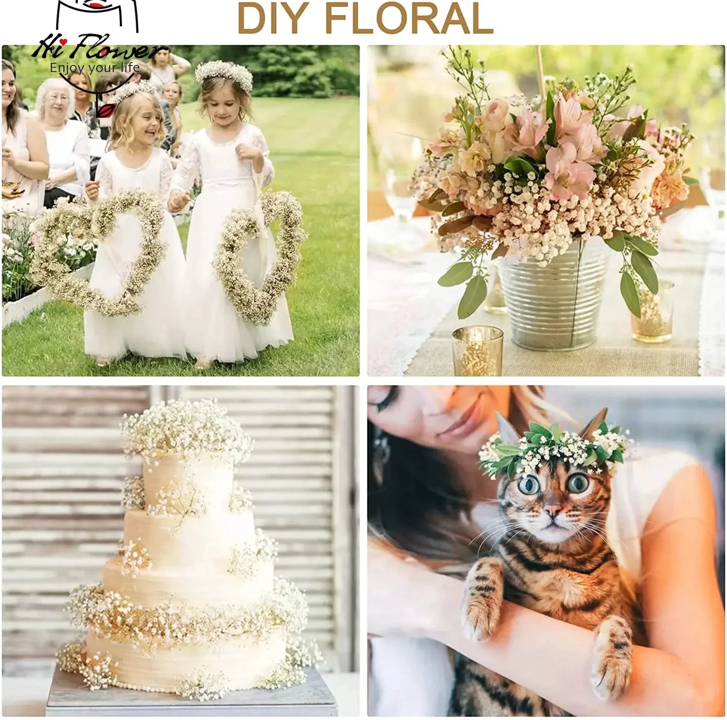 130g Natural Dried Preserved Flowers Babys Breath Home Decoration Natrual Gypsophila Wedding Decor Artificial Flower Photo Props