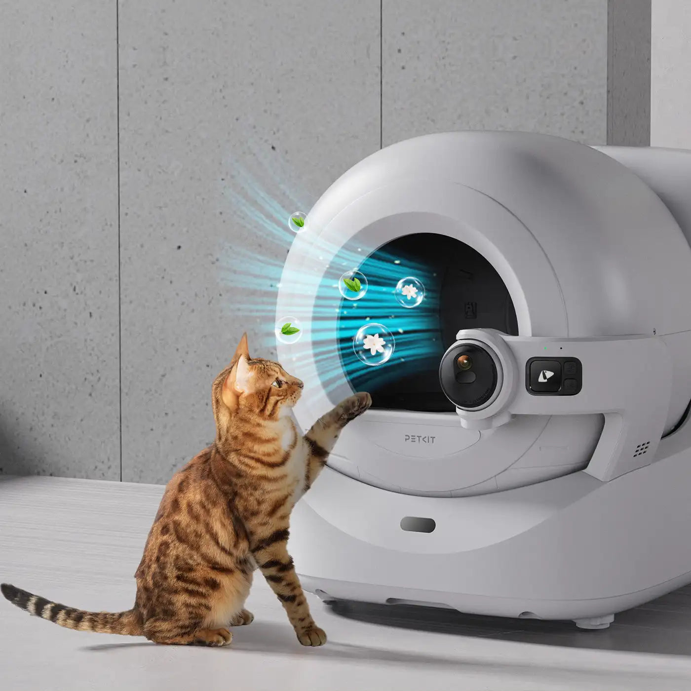 Original Petkit Pet Odor Eliminator N60 Exclusive for PUROBOT Ultra Self-Cleaning Cat Litter Box, Cat Toilet Odor Control （3pcs