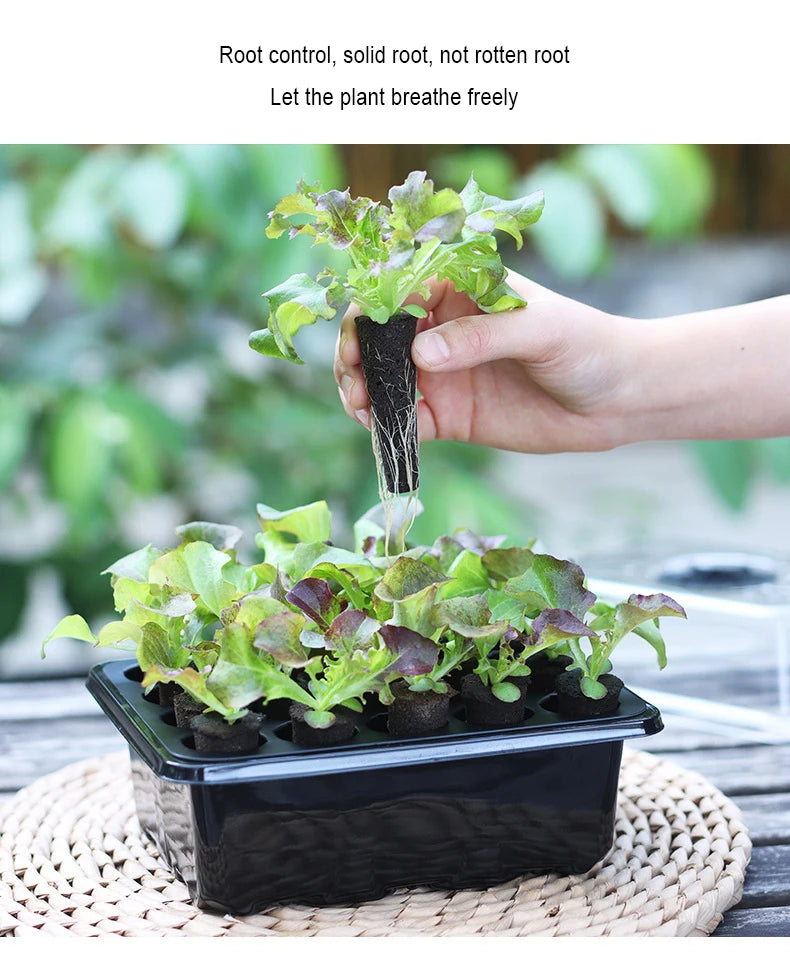 20 Hole Hydroponic Plant Seedling Pots with Intelligent Fill Light Seedling Tray for Fruit Vegetable Gardening Planting Supplies