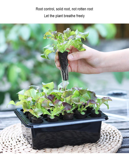 20 Hole Hydroponic Plant Seedling Pots with Intelligent Fill Light Seedling Tray for Fruit Vegetable Gardening Planting Supplies