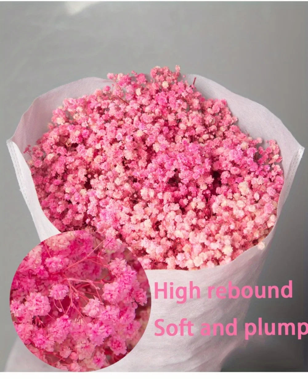 130g Natural Dried Preserved Flowers Babys Breath Home Decoration Natrual Gypsophila Wedding Decor Artificial Flower Photo Props