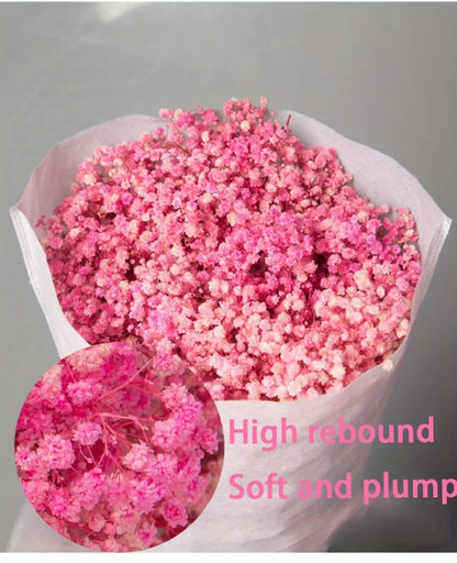 130g Natural Dried Preserved Flowers Babys Breath Home Decoration Natrual Gypsophila Wedding Decor Artificial Flower Photo Props