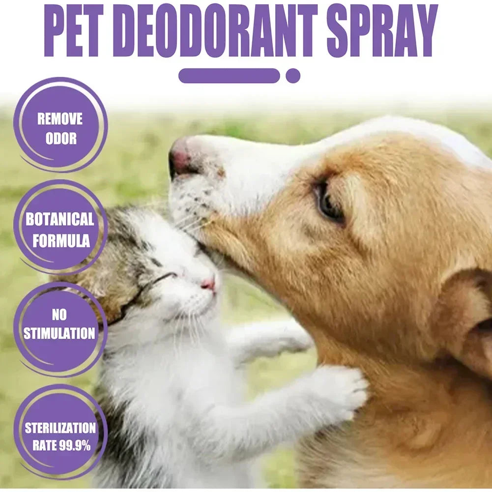 Pet Deodorization Spray 50ml Dog Perfume Lavender Oil Deodorization Spray Anti Itching Fragrant Pet  Cat and Dog Beauty Care