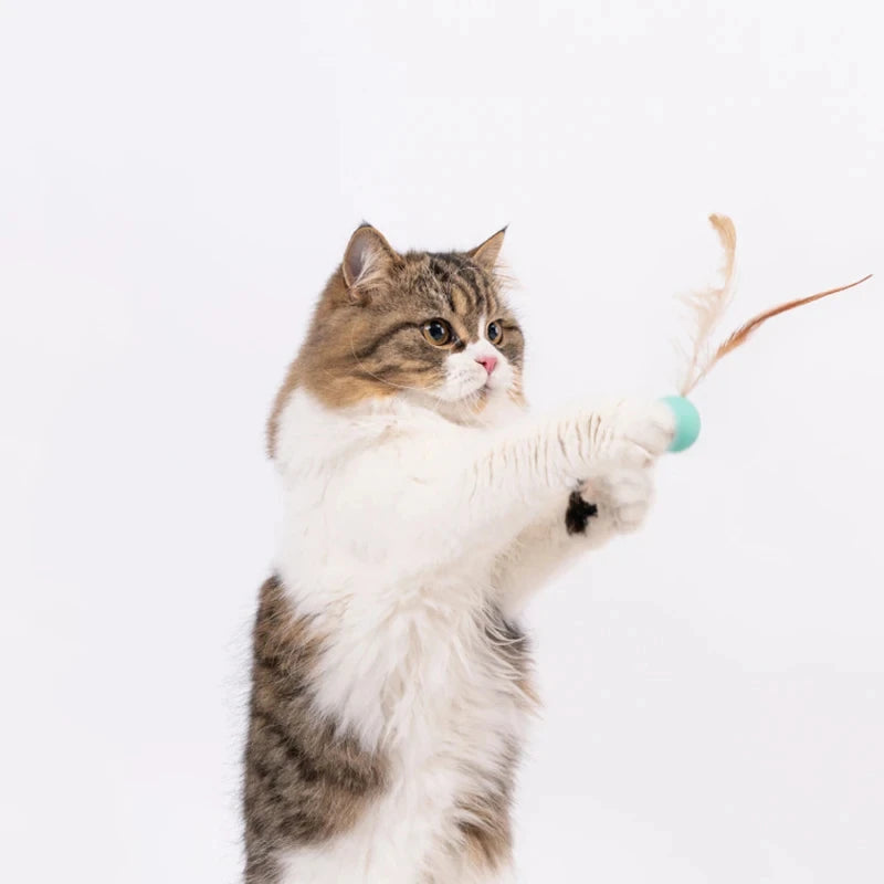 Cat Interactive Ball Toys Interactive Bouncy Ball with Feathers Cat Toys for Indoor Cats and Kittens Pet Elastic Ball